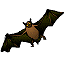 Bat