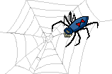 Spider in web